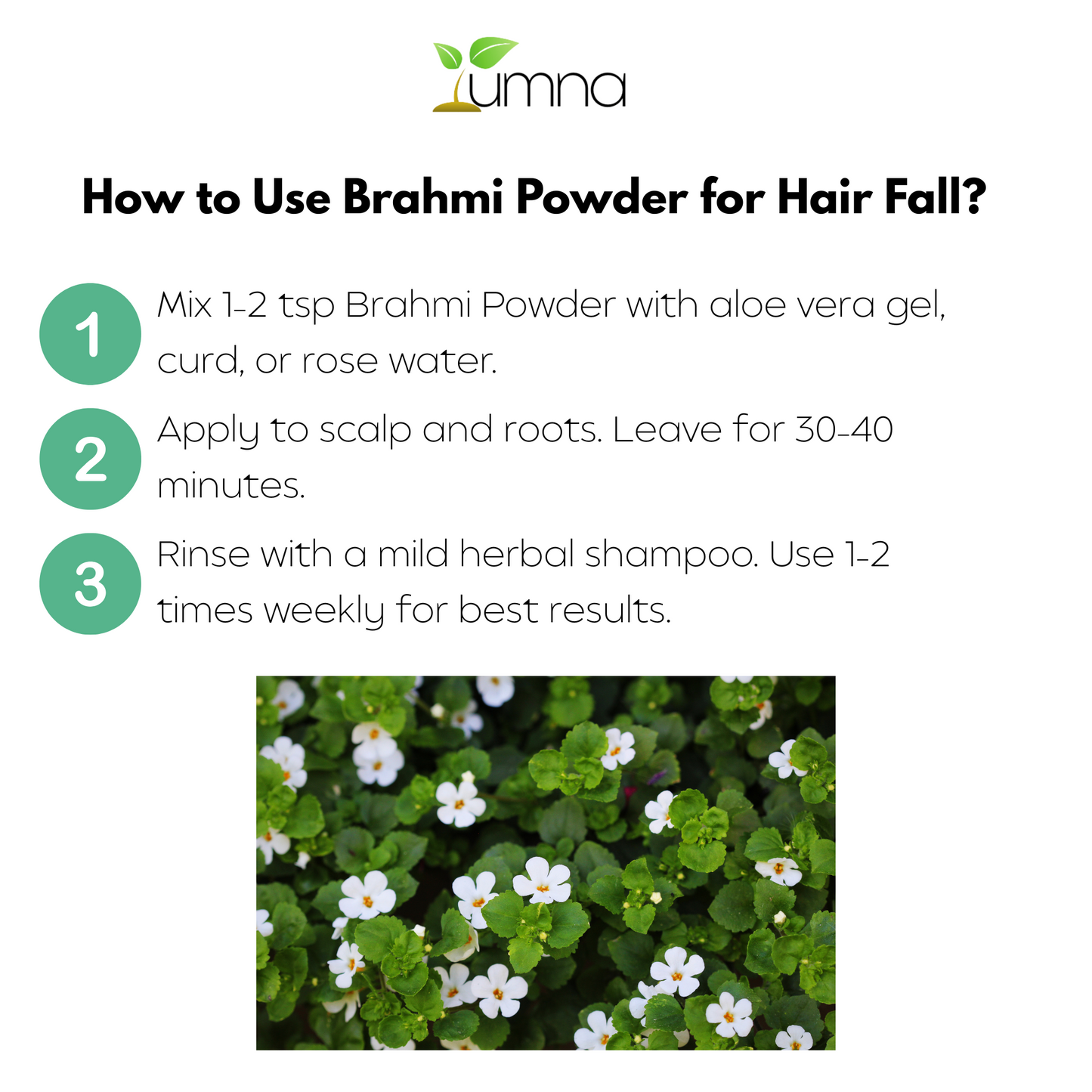Yumna Herbals Brahmi Powder – 100g