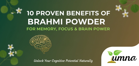 10 Proven Benefits of Brahmi Powder for Memory, Focus & Brain Power