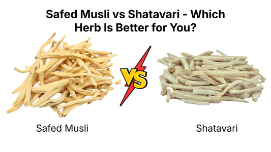 Safed Musli vs Shatavari