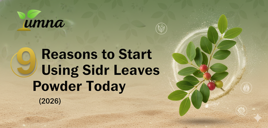 reasons to use sidr powder 